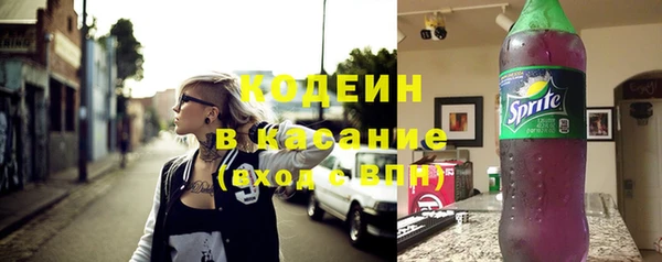 метадон Няндома
