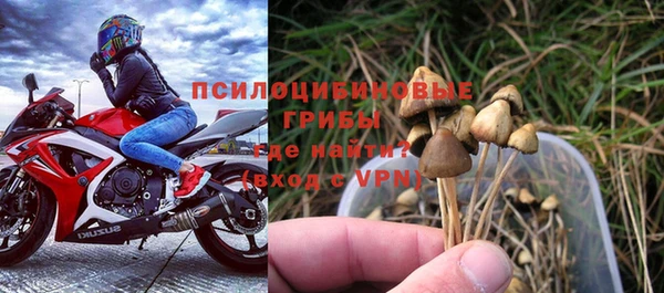 метадон Няндома
