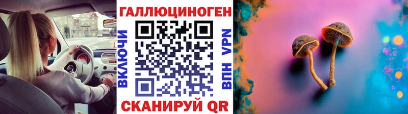 сколько стоит Рязань Псилоцибиновые грибы мицелий